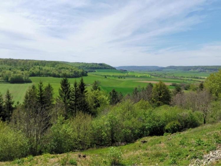 Le Nid D'Alex Spa , Rando Et Table D'Hote Autigny-la-Tour 外观 照片